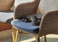 데이트코스 썸네일이미지